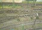 Bild 029
